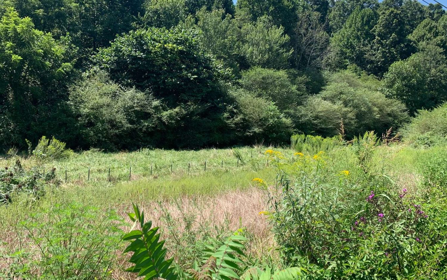 69 Hwy 64 W, Hayesville, NC 28904